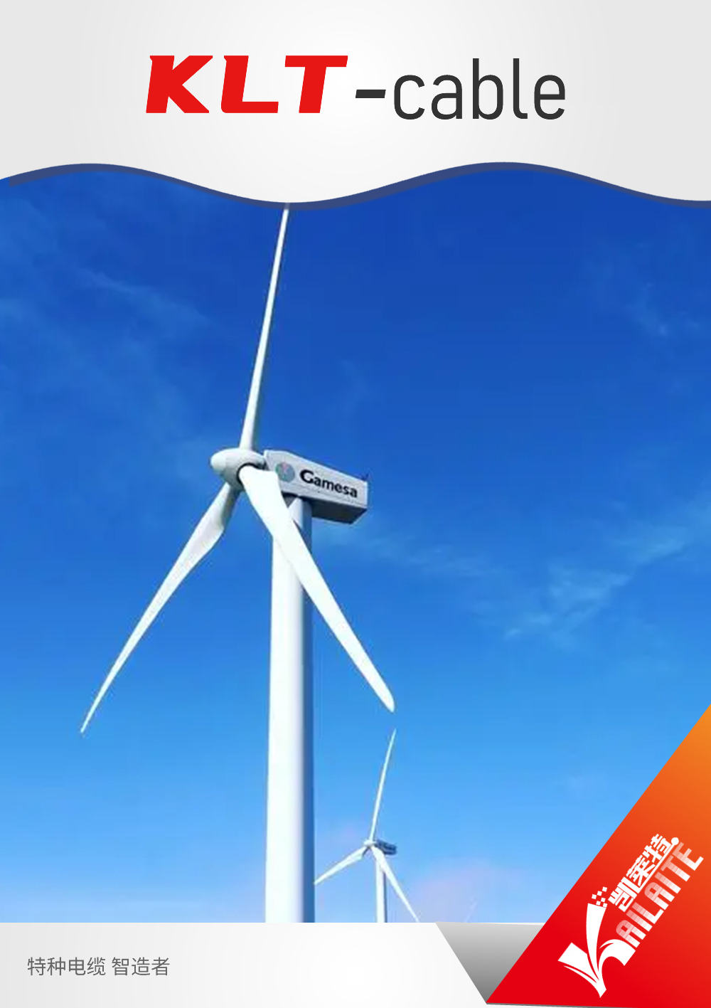 Extension & Compensating Cables