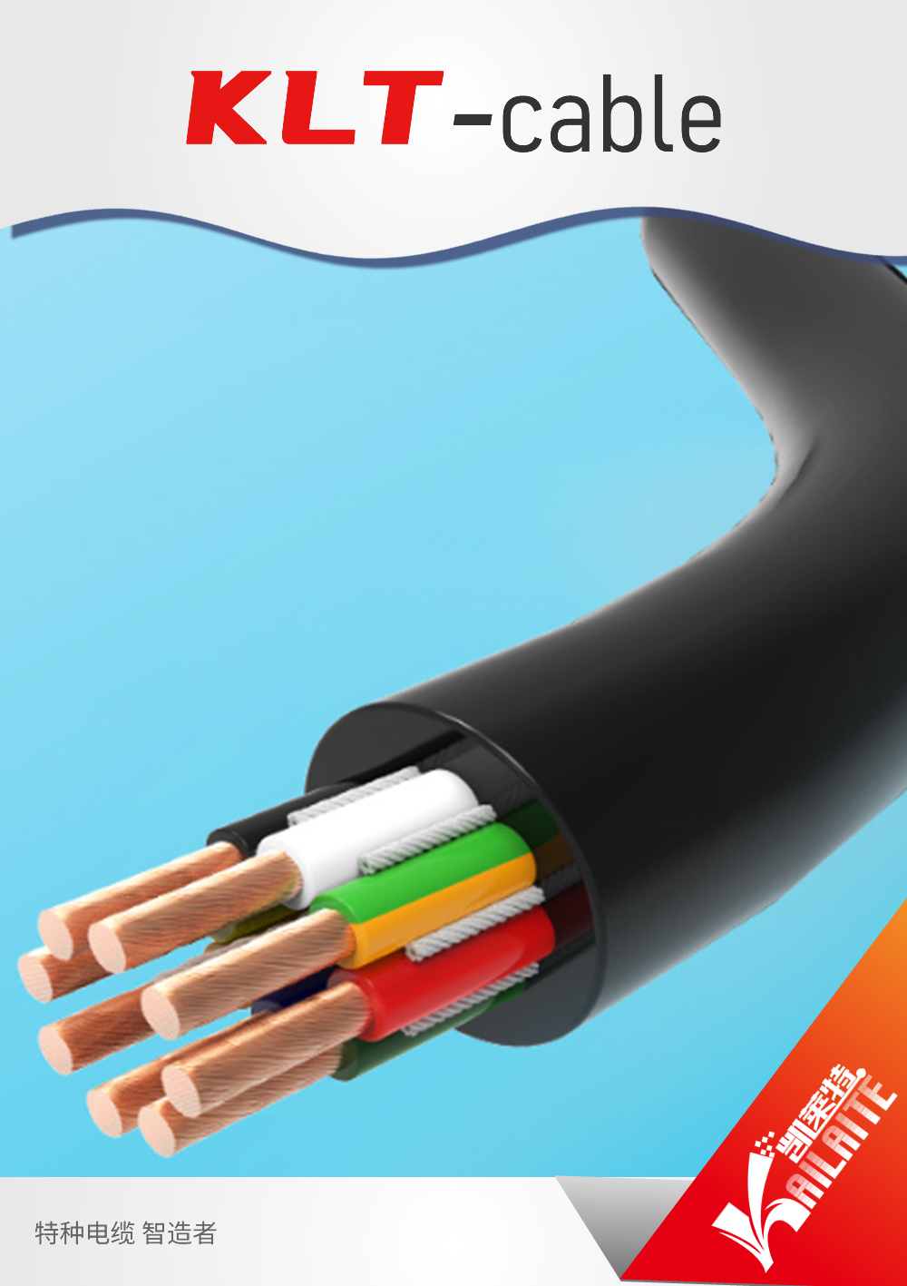 Extension & Compensating Cables